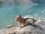 Cdn Rockies Adventure (Aug 2010) - Banff - 005

